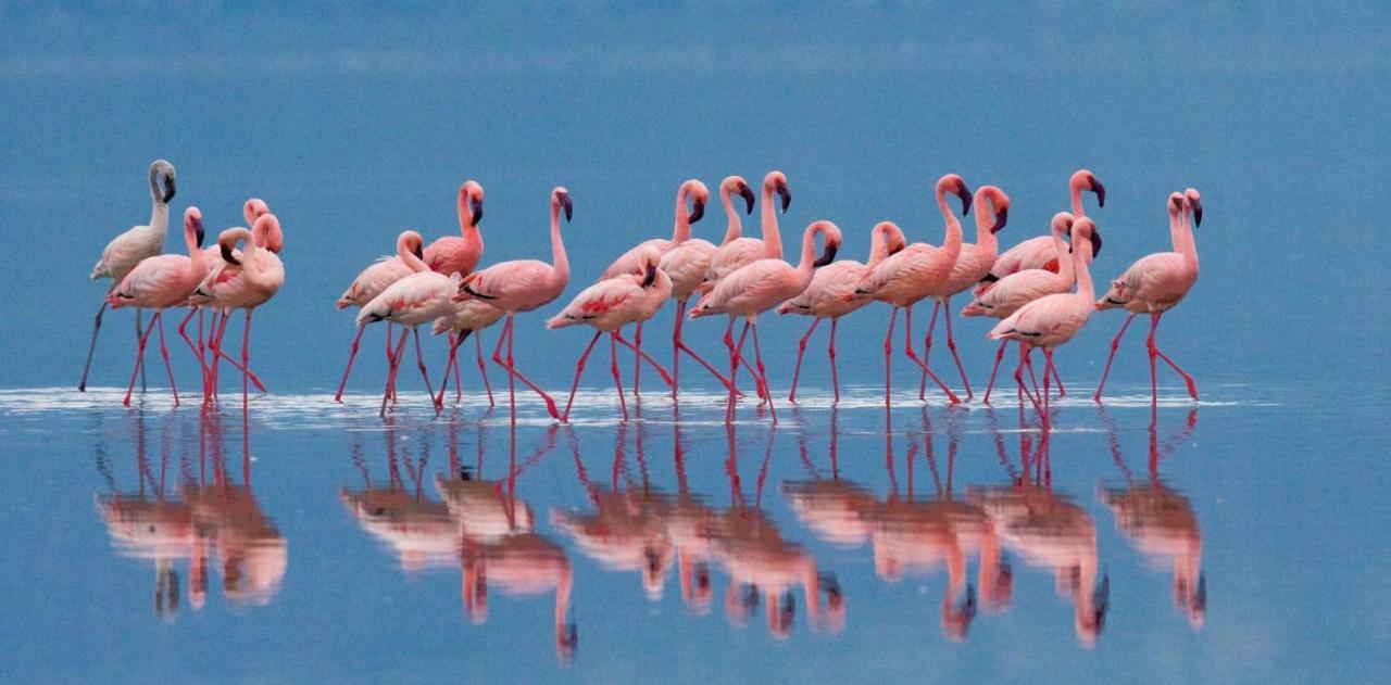 Sa Domu Villa Quartu SantʼElena Buitenkant foto